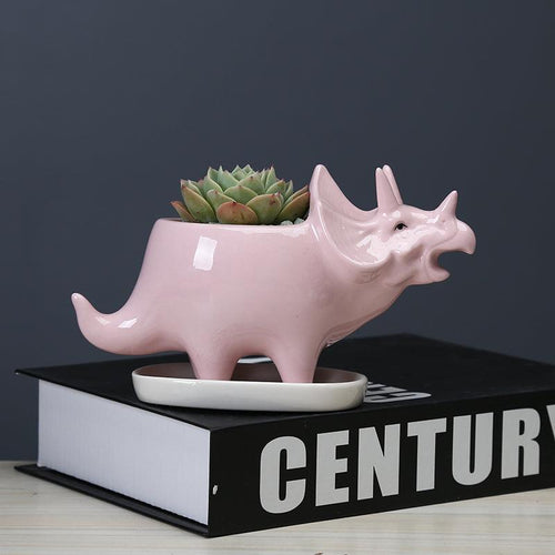Adorable Dino Succulent Planter Pot with Drainage Tray
